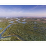 Survol du fond de la Baie de Somme. Les tâches violettes sont des lilas de mer.