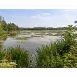 Les bords de la Somme à Long