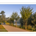 La vallée de la Somme à Long, au petit matin.