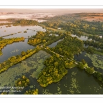 Survol des marais de la Somme à Long au petit matin.