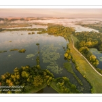 Survol des marais de la Somme à Long au petit matin.