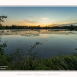 Longpre_31_07_2016_001-border