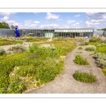 Le parc extérieur du musée