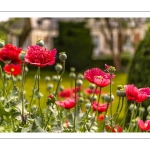 Les jardins de Maizicourt