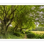 Les jardins de Maizicourt