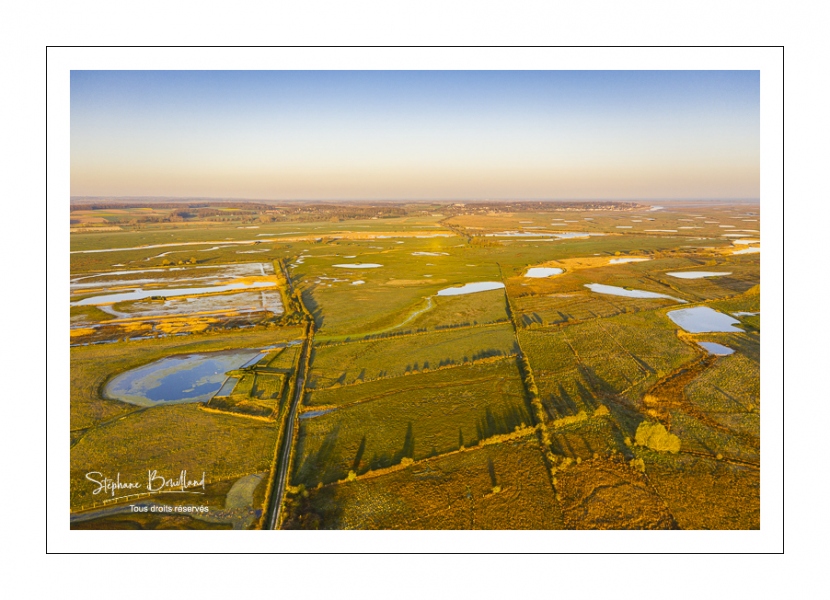 Prairies et marais de la basse vallée de la Somme entre Port-le-Grand et Noyelles-sur-mer