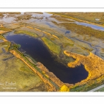 Prairies et marais de la basse vallée de la Somme entre Port-le-Grand et Noyelles-sur-mer