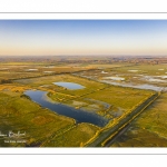 Prairies et marais de la basse vallée de la Somme entre Port-le-Grand et Noyelles-sur-mer