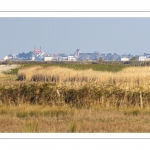 France, Somme (80), Baie de Somme, Noyelles-sur-mer, Prairies et marais de la basse vallée de la Somme entre Port-le-Grand et Noyelles-sur-mer, ZNIEFF 220013892, vue sur le Crotoy // France, Somme (80), Baie de Somme, Noyelles-sur-mer, Meadows and marshes of the lower Somme valley between Port-le-Grand and Noyelles-sur-mer, ZNIEFF 220013892, view on Le Crotoy