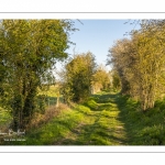 Chemin dans les renclôtures