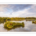 Le marais de Mareuil-Caubert au petit matin dans la vallée de la Somme (Vue aérienne)