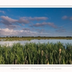 Paysage_Marais_Le_Crotoy_15_05_2016_001-border
