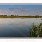 Paysage_Marais_Le_Crotoy_15_05_2016_003-border