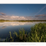 Paysage_Marais_Le_Crotoy_15_05_2016_005-border