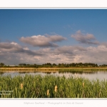 Paysage_Marais_Le_Crotoy_15_05_2016_007-border