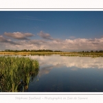 Paysage_Marais_Le_Crotoy_15_05_2016_008-border