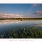 Paysage_Marais_Le_Crotoy_15_05_2016_009-border