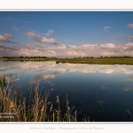 Paysage_Marais_Le_Crotoy_15_05_2016_010-border