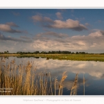 Paysage_Marais_Le_Crotoy_15_05_2016_012-border