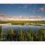 Paysage_Marais_Le_Crotoy_15_05_2016_013-border