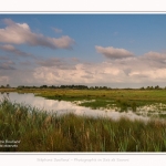 Paysage_Marais_Le_Crotoy_15_05_2016_014-border