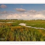 Paysage_Marais_Le_Crotoy_15_05_2016_016-border