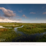 Paysage_Marais_Le_Crotoy_15_05_2016_021-border