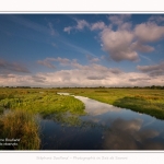 Paysage_Marais_Le_Crotoy_15_05_2016_022-border