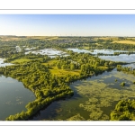 Les marais de la Somme entre Long et Longpré-les-Corps-Saints