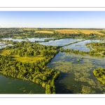 Les marais de la Somme entre Long et Longpré-les-Corps-Saints