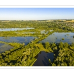 Les marais de la Somme entre Long et Longpré-les-Corps-Saints