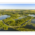 Les marais de la Somme entre Long et Longpré-les-Corps-Saints