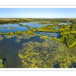 Les marais de la Somme entre Long et Longpré-les-Corps-Saints