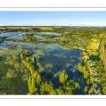 Les marais de la Somme entre Long et Longpré-les-Corps-Saints