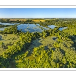 Les marais de la Somme entre Long et Longpré-les-Corps-Saints