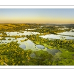 Les marais de la Somme entre Long et Longpré-les-Corps-Saints