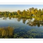 Les marais de la Somme entre Long et Longpré-les-Corps-Saints