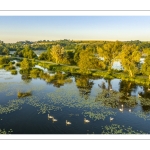 Les marais de la Somme entre Long et Longpré-les-Corps-Saints