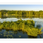 Les marais de la Somme entre Long et Longpré-les-Corps-Saints