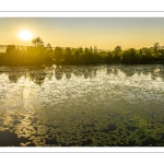 Les marais de la Somme entre Long et Longpré-les-Corps-Saints