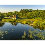 Les marais de la Somme entre Long et Longpré-les-Corps-Saints