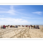 Marathon d'attelages à Berck-sur-mer