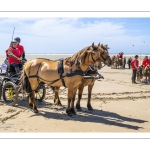 Marathon d'attelages à Berck-sur-mer