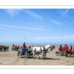 Marathon d'attelages à Berck-sur-mer