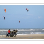 Marathon d'attelages à Berck-sur-mer