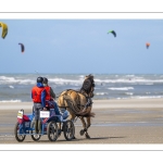 Marathon d'attelages à Berck-sur-mer