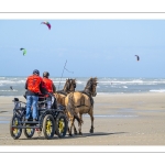 Marathon d'attelages à Berck-sur-mer