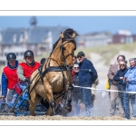 Marathon d'attelages à Berck-sur-mer