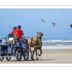 Marathon d'attelages à Berck-sur-mer