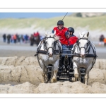 Marathon d'attelages à Berck-sur-mer